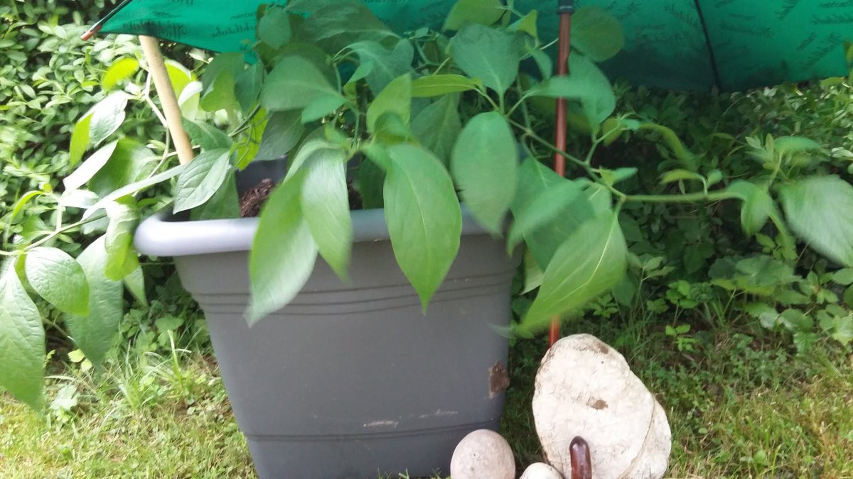 20190521_190628.jpg