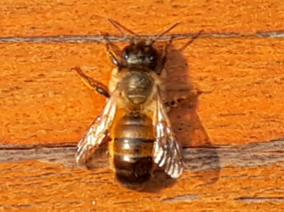 20190525_190147.jpg