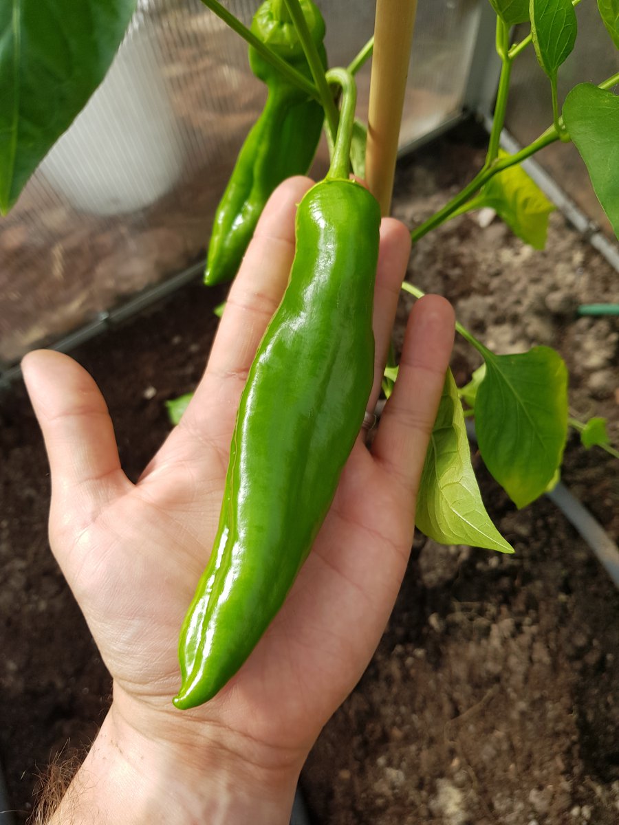 20190531_085537.jpg