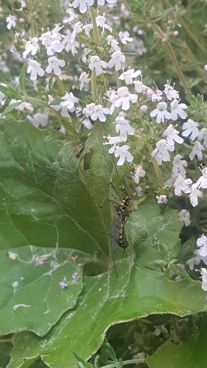 20190531_195851.jpg