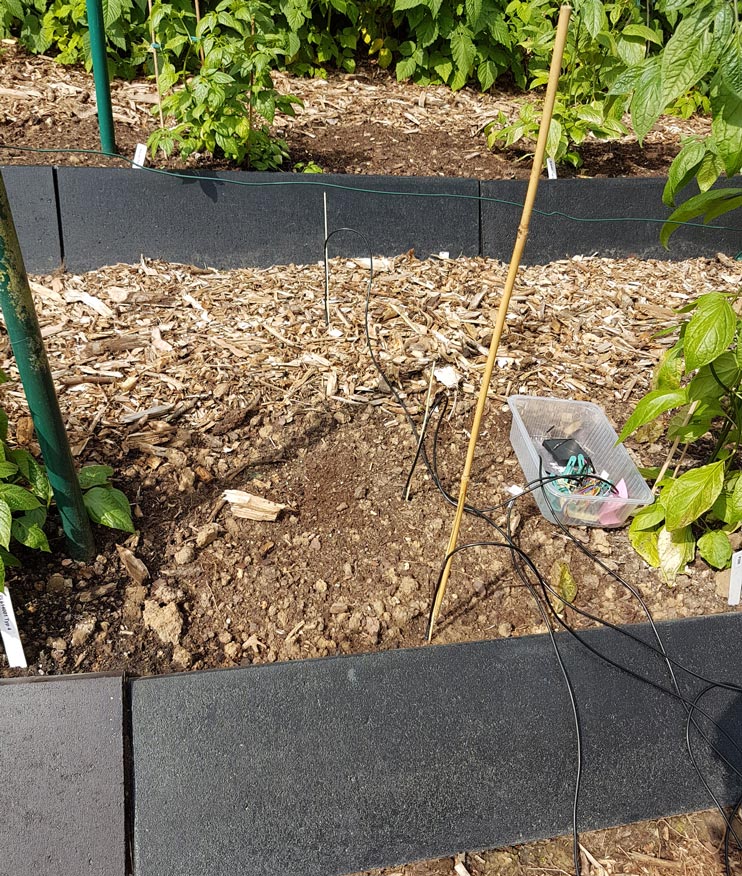 20190607_102045-klein.jpg