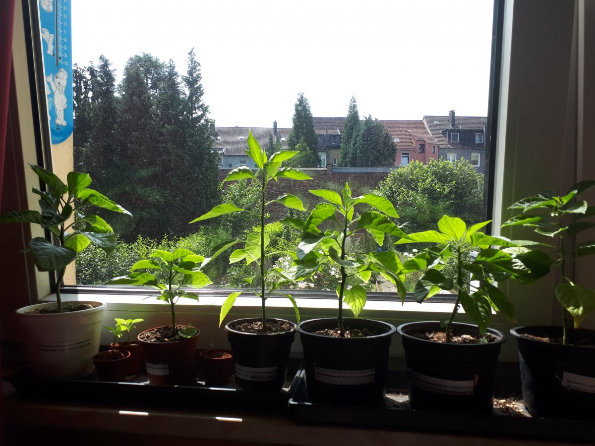 20190610_120101.jpg