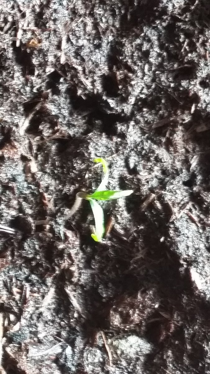 20190612_125332.jpg