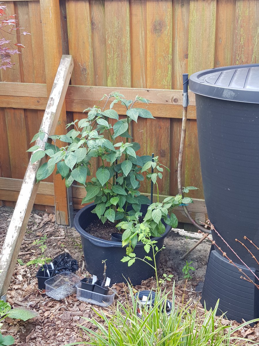 20190621_120338.jpg