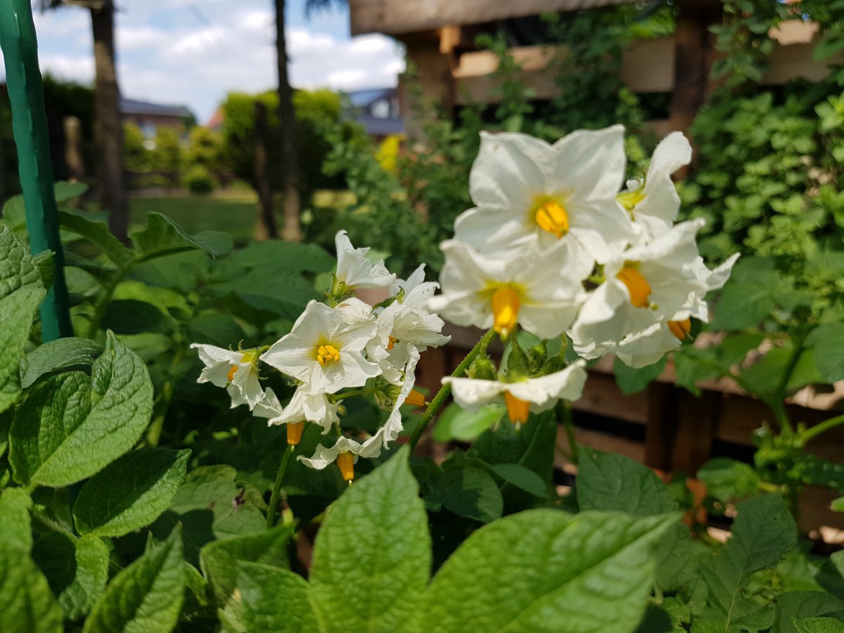 20190622_140202.jpg