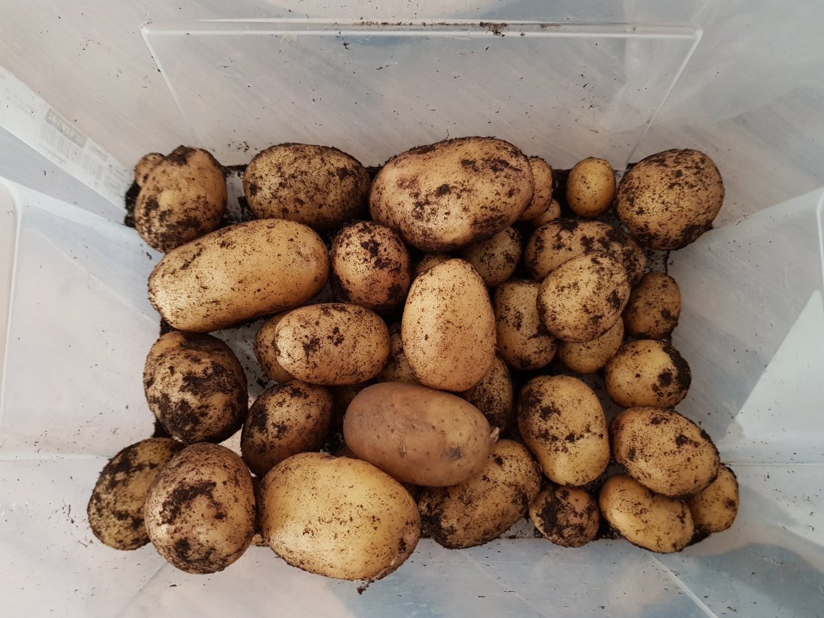 20190625_103335.jpg