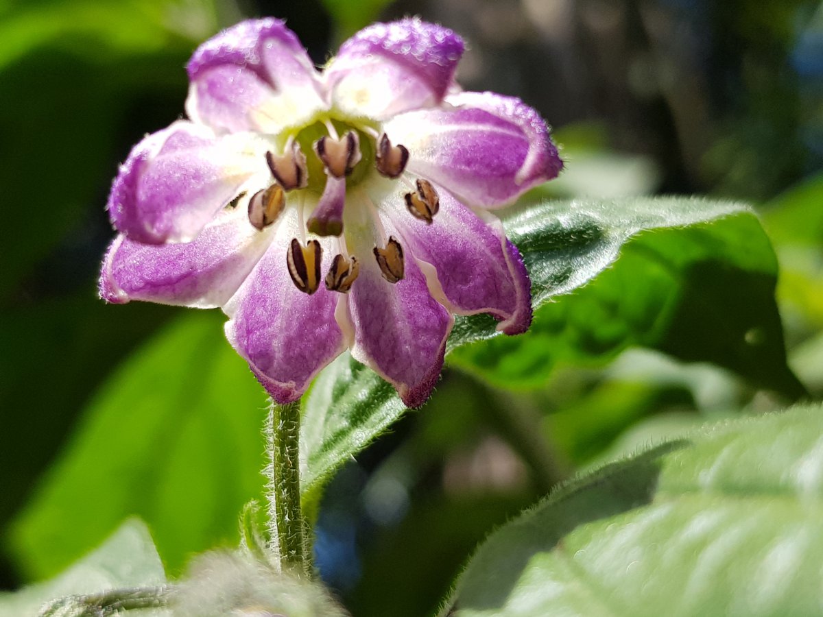 20190628_142351.jpg