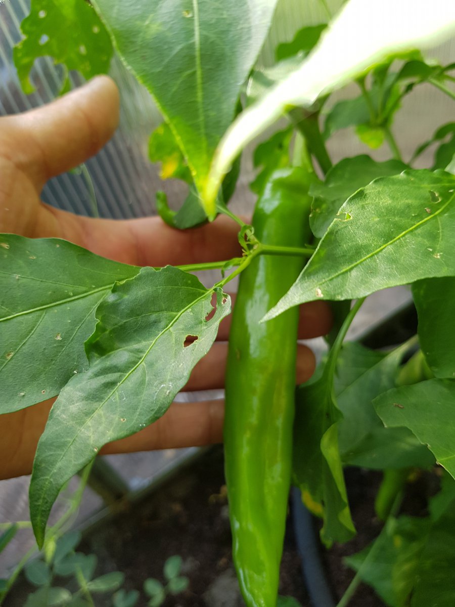20190726_091359.jpg