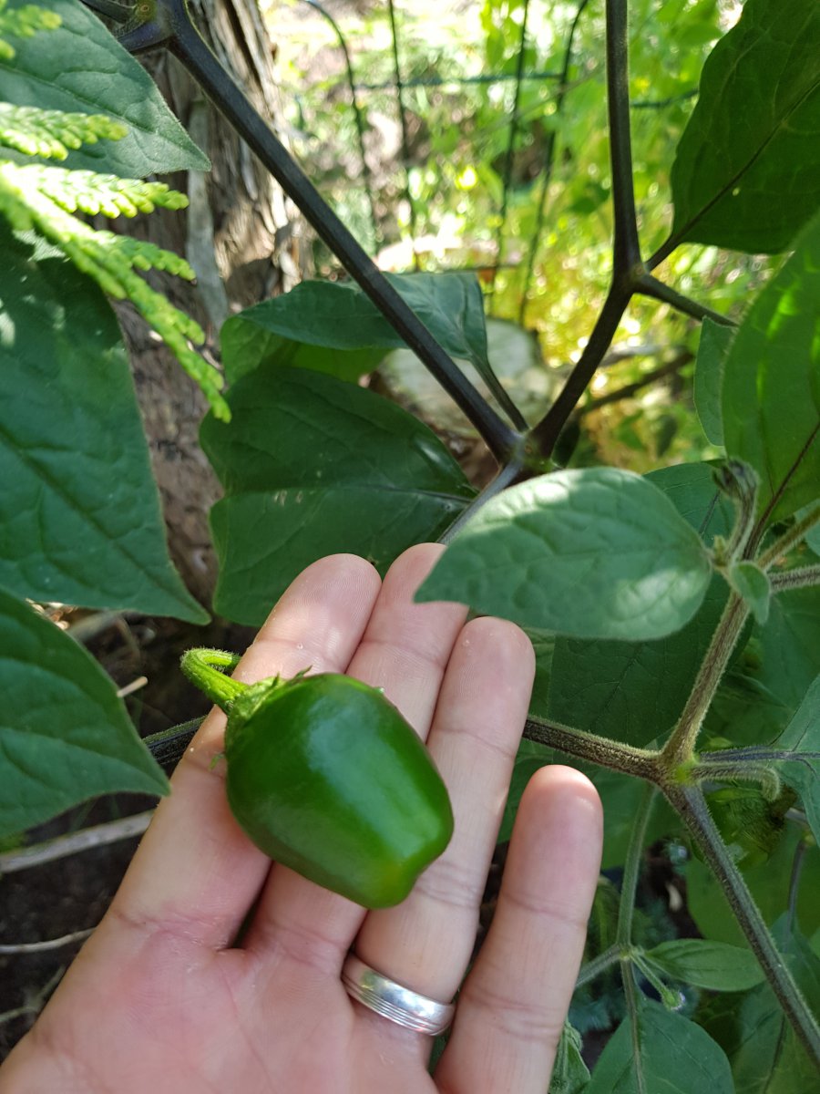 20190726_091634.jpg