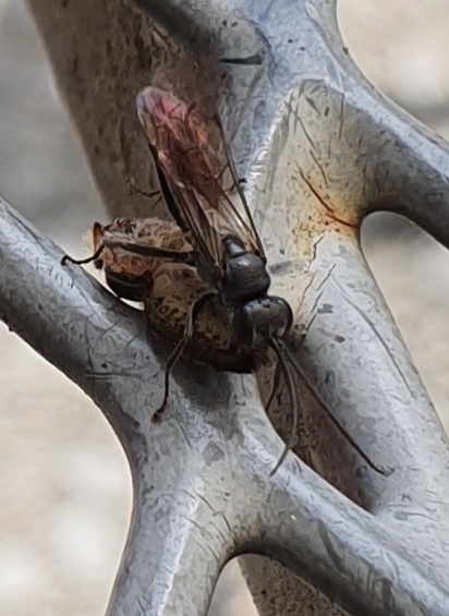 20190817_101223.jpg