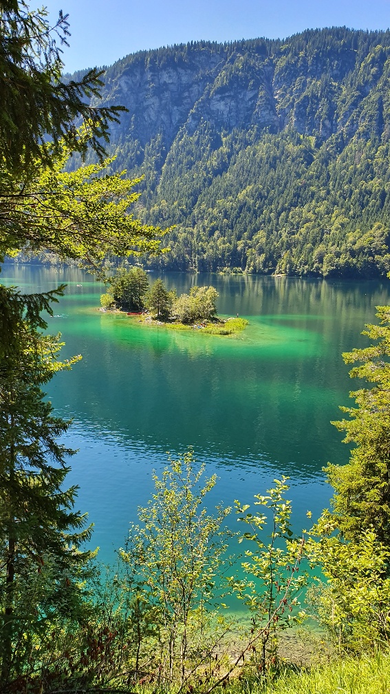 20190818_125849-567x1008.jpg