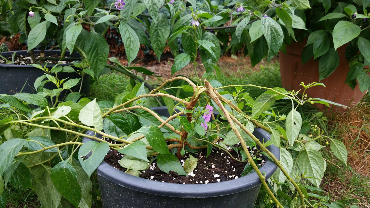 20190819_113336.jpg