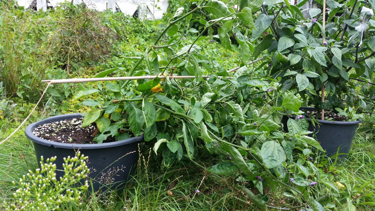 20190819_113528.jpg