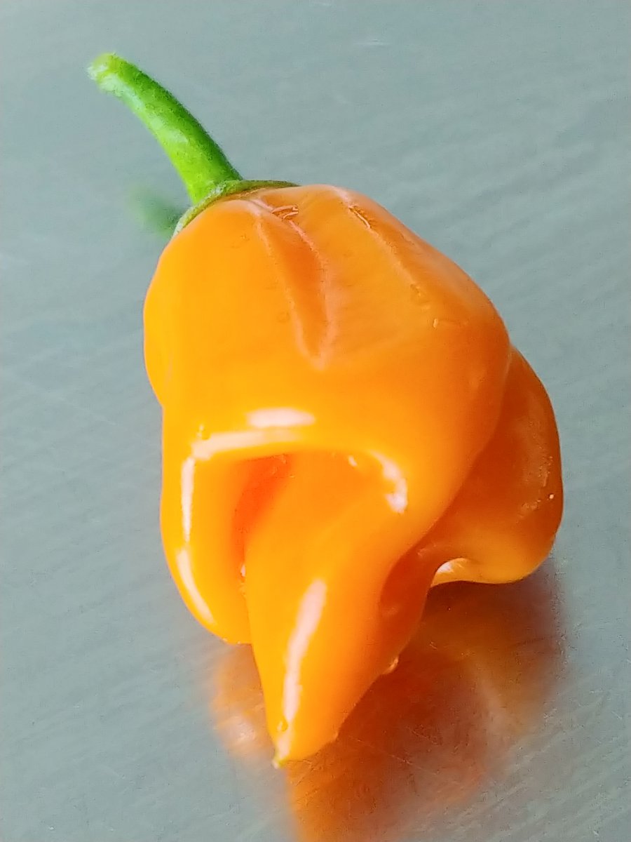 20190824_114402.jpg