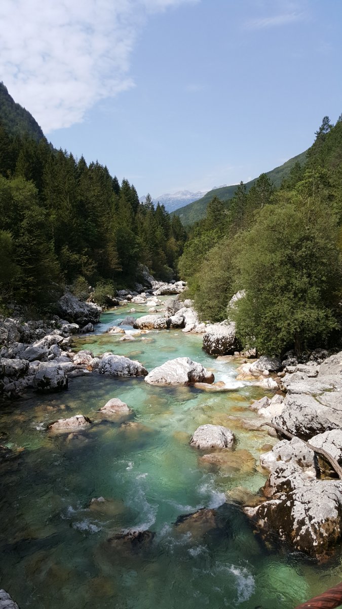 20190825_114209.jpg