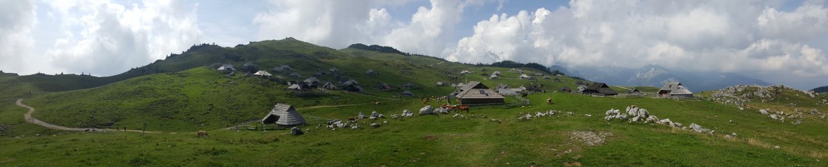 20190828_145159.jpg