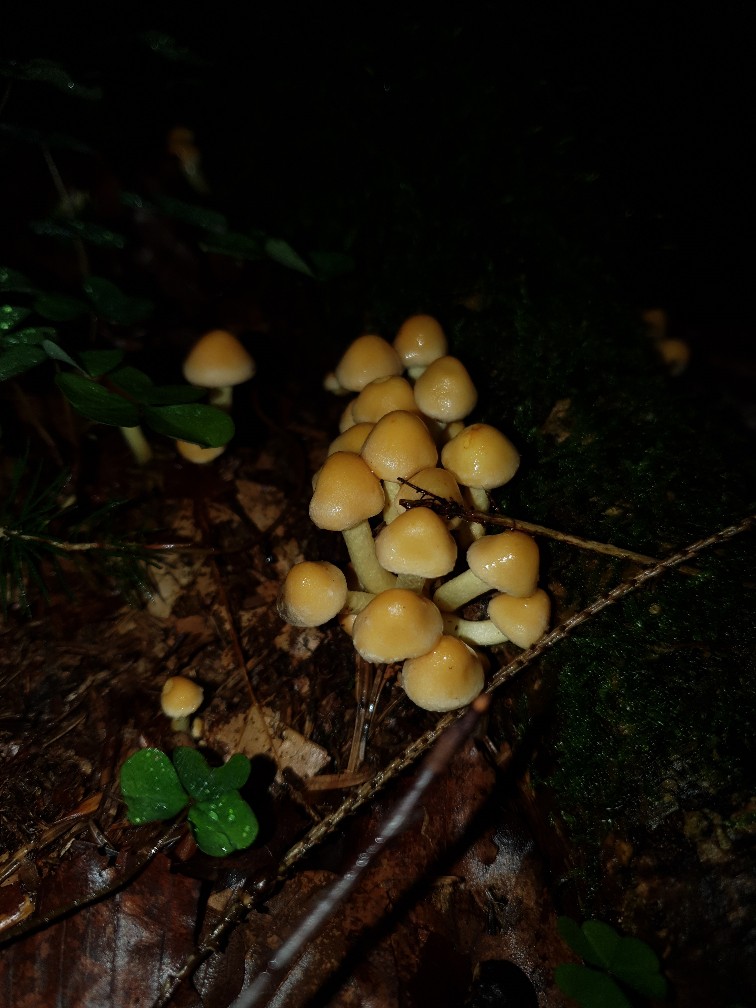 20190907_145132-756x1008.jpg