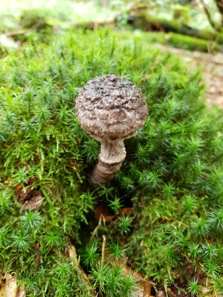 20190907_145317-756x1008.jpg