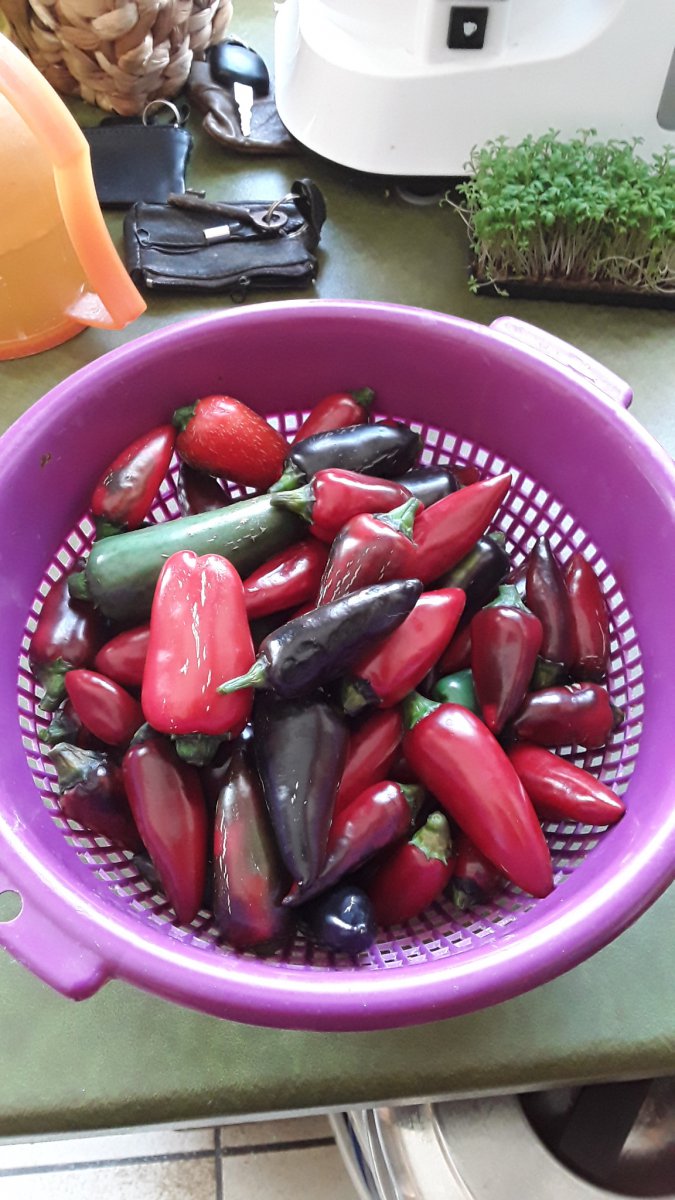 20190922_104952.jpg