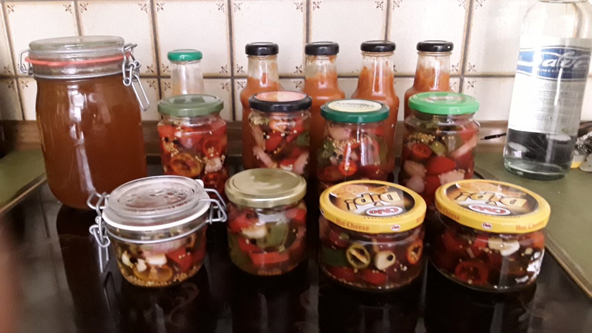 20190922_134038.jpg