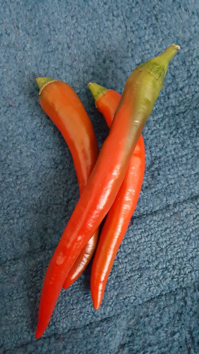 20191008_104936.jpg