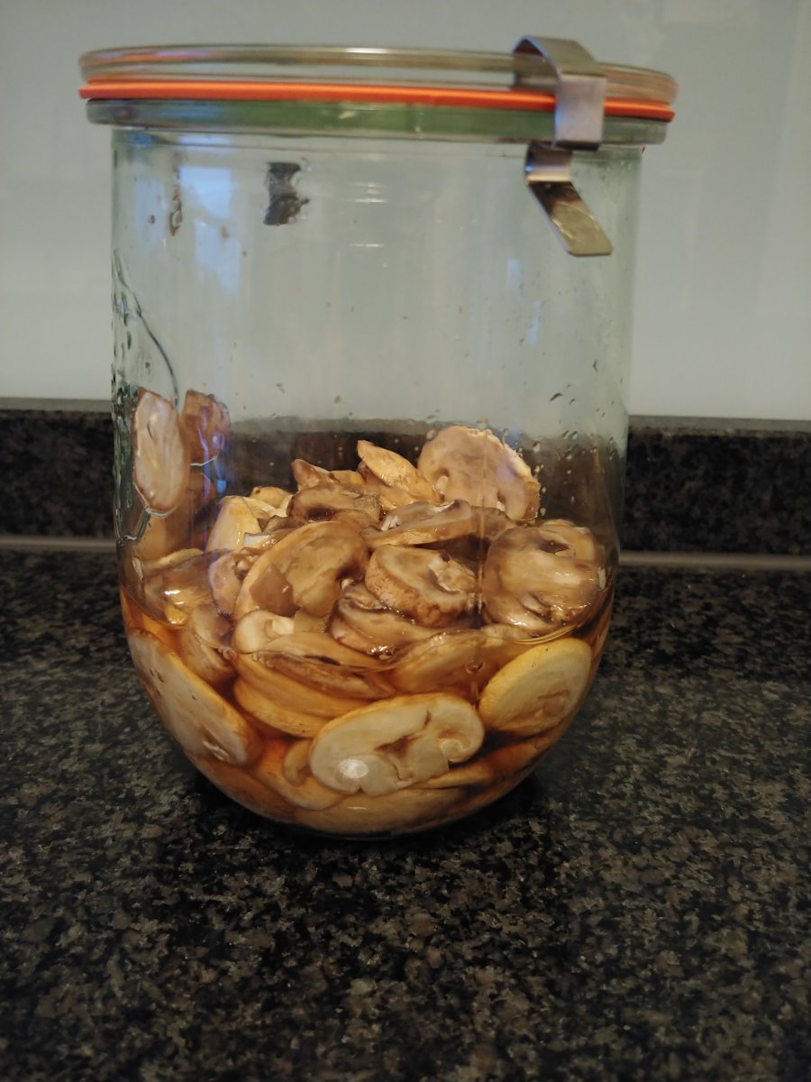 20191105_073406.jpg