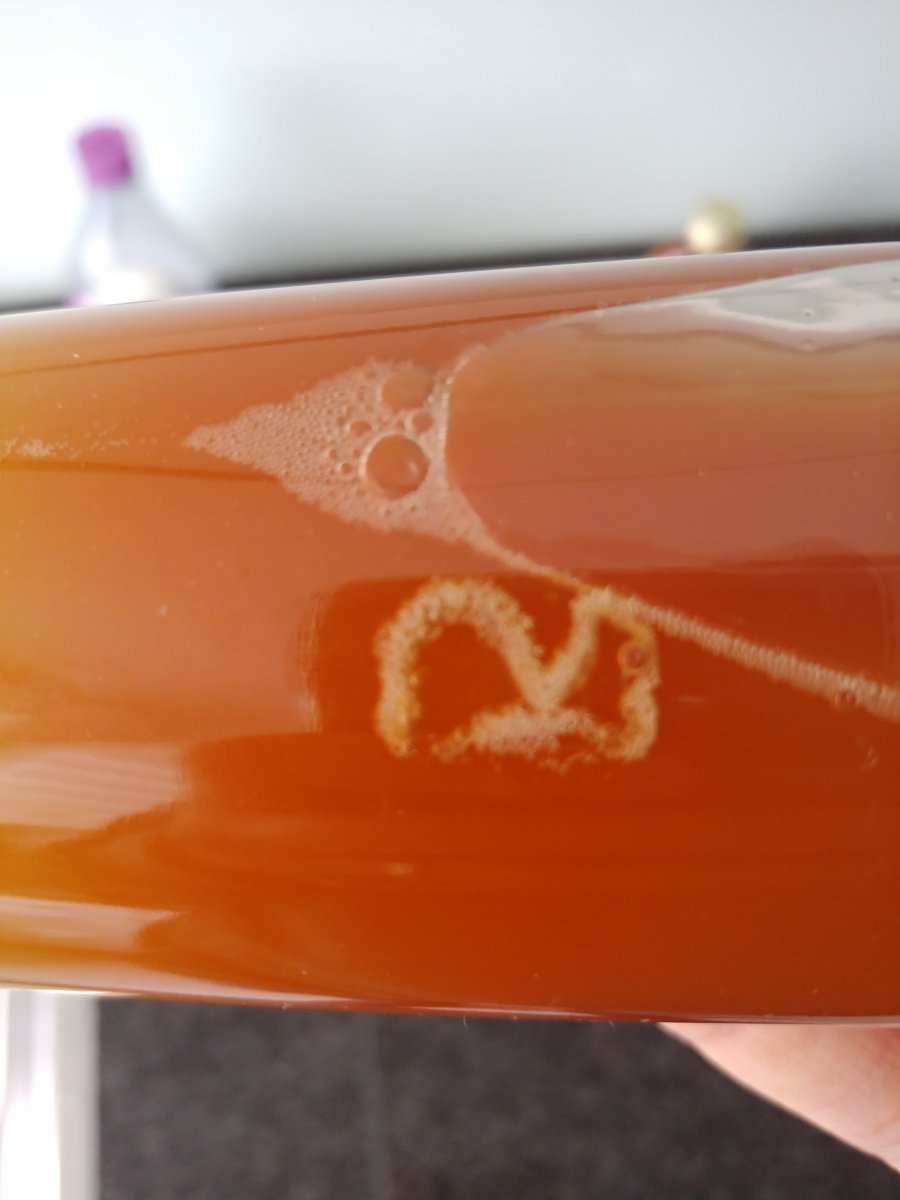 20191107_141841.jpg
