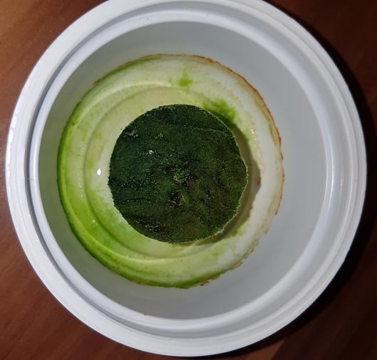 20191117_101710-klein.jpg
