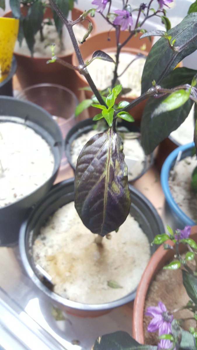 20191211_114706.jpg