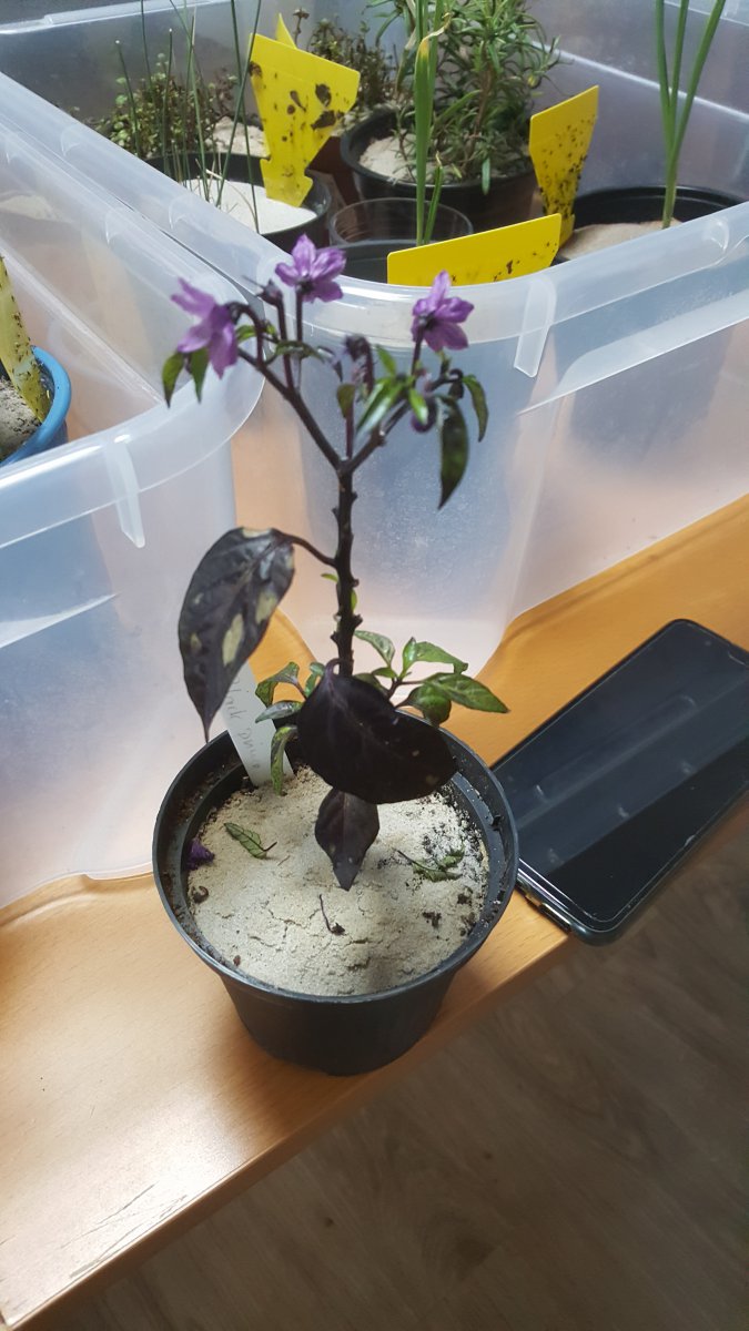 20191211_120801.jpg