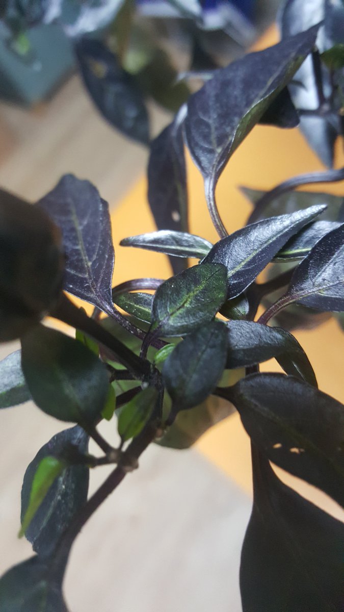 20191211_155732.jpg