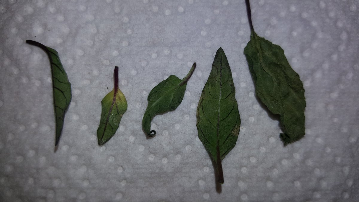 20191212_124927.jpg