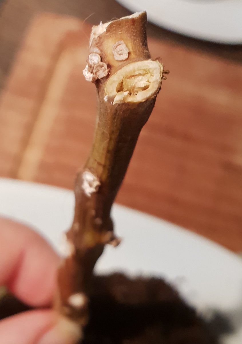 20191222_140404.jpg