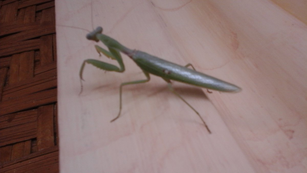 20200417_095517.jpg