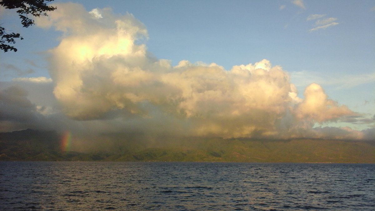 20200417_173616.jpg