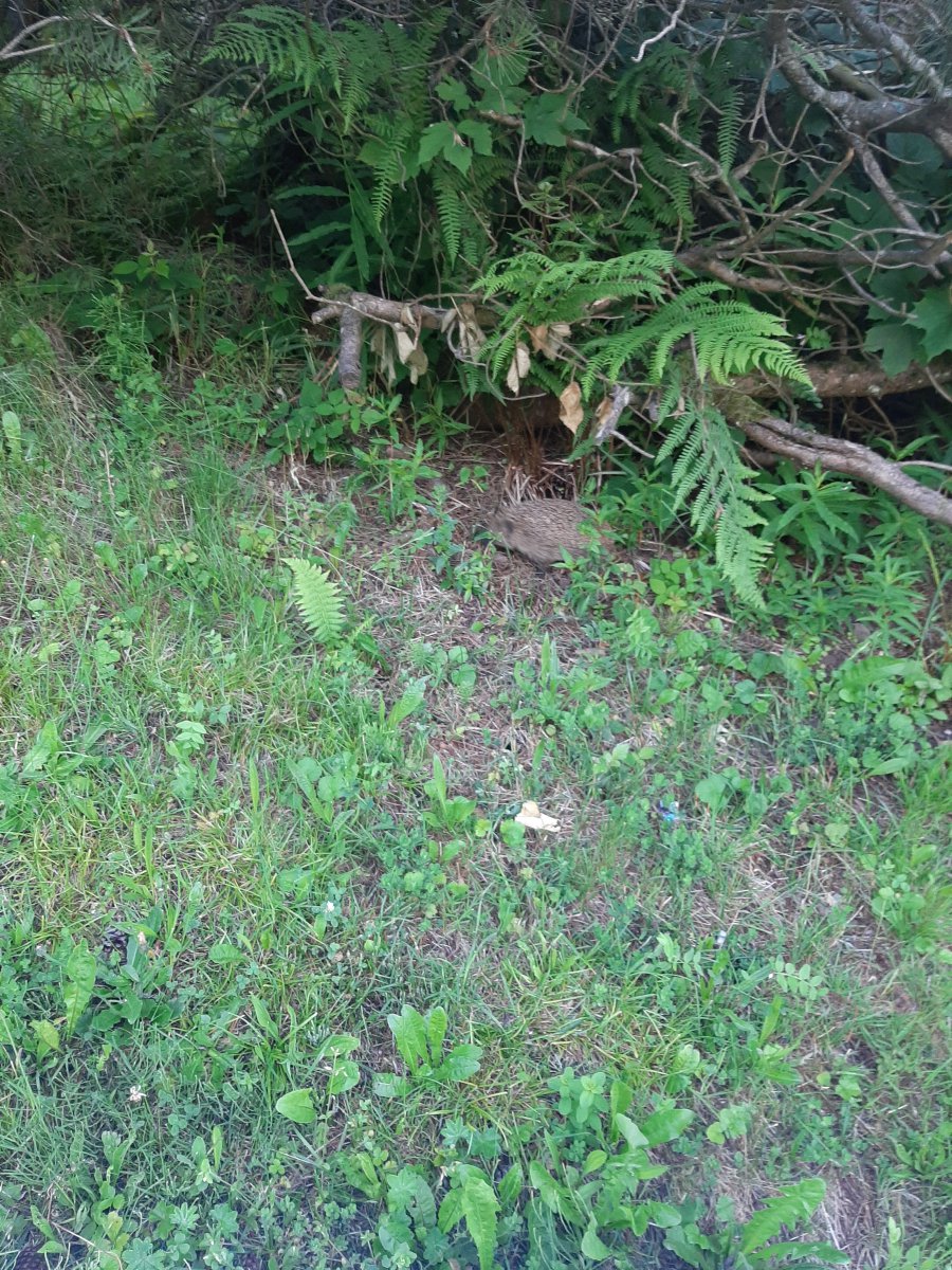 20200630_064149.jpg