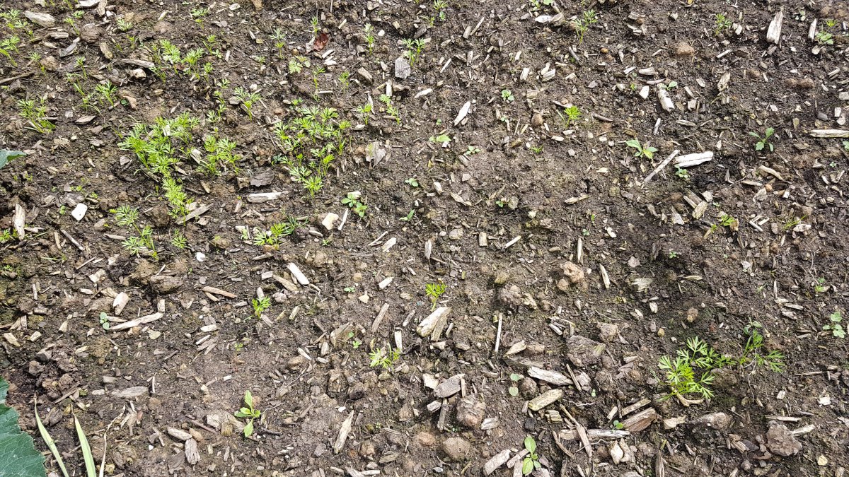 20200703_135922.jpg