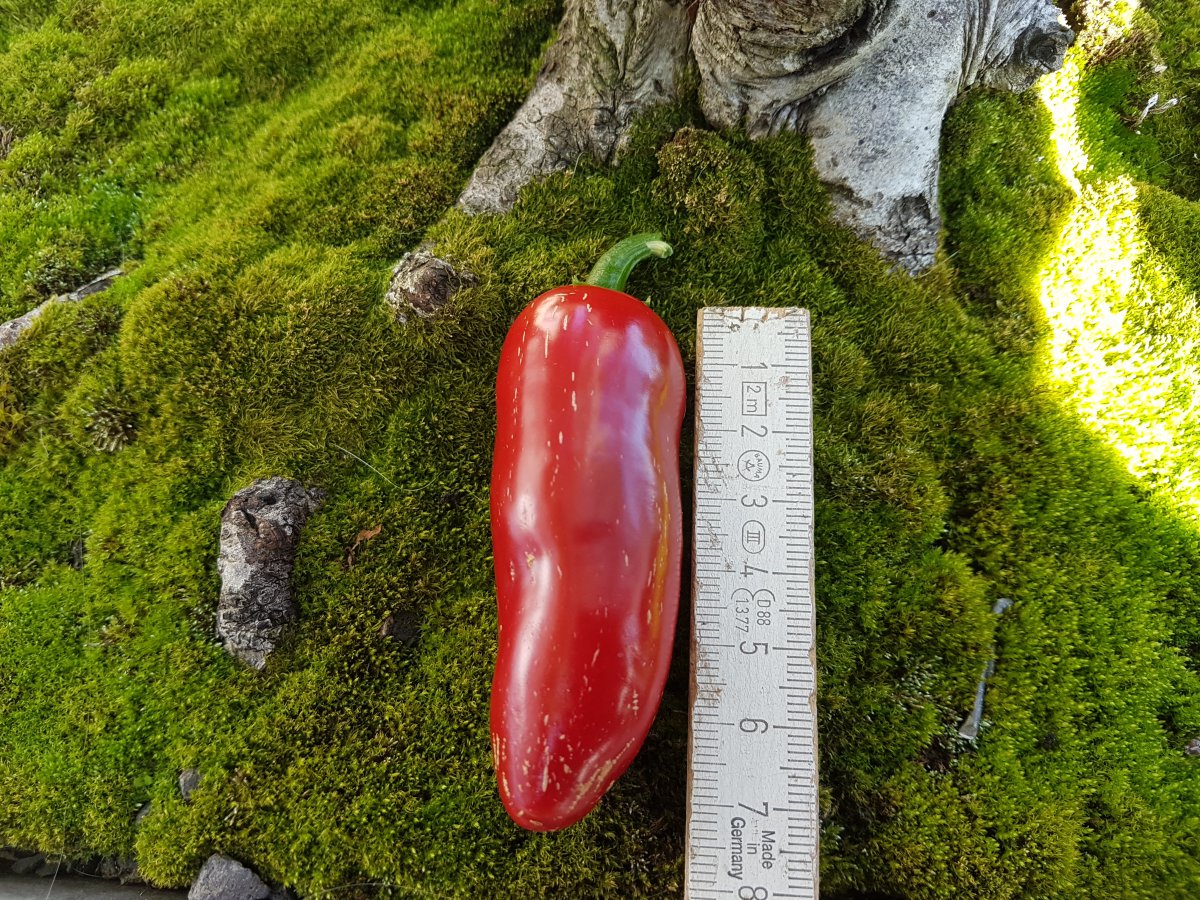 20200914_170241.jpg