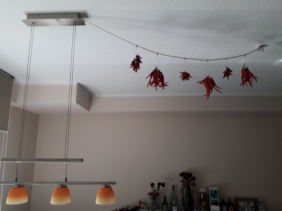 20200920_120501.jpg