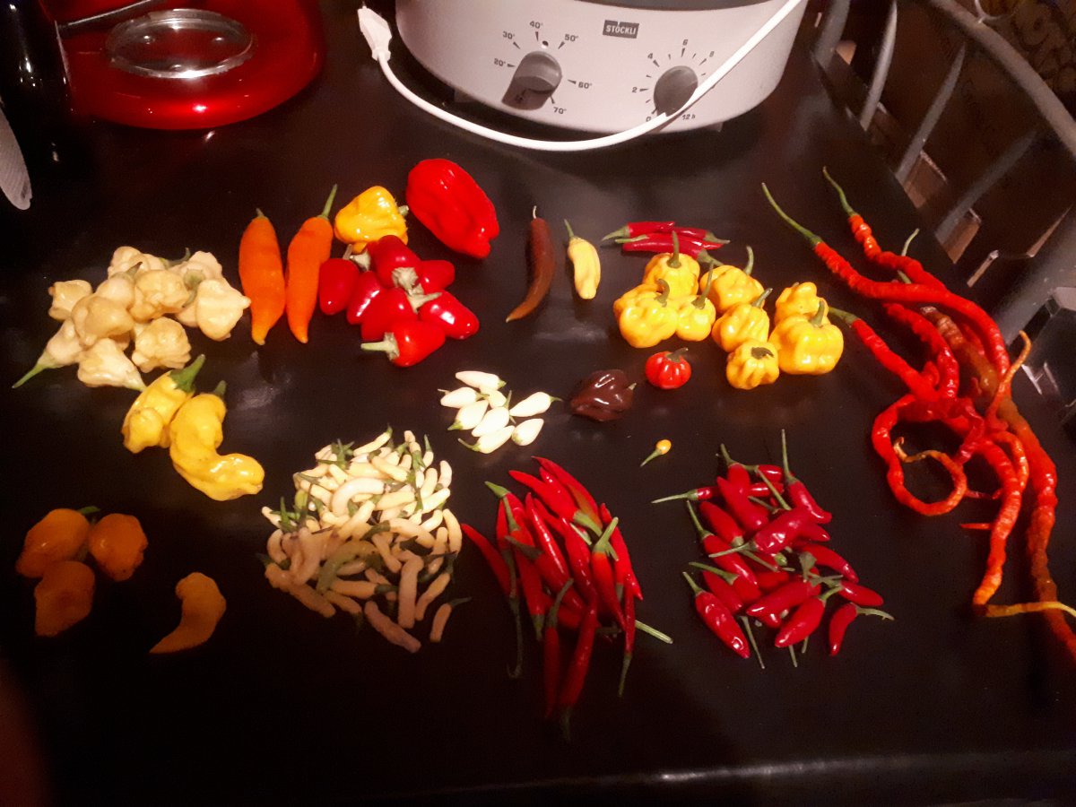 20200924_201444.jpg
