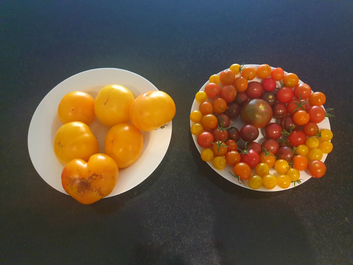 20200928_101656.jpg