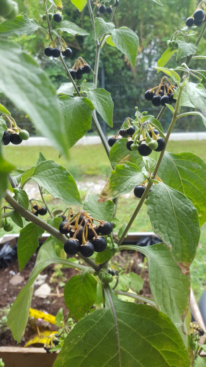 20201008_102510.jpg