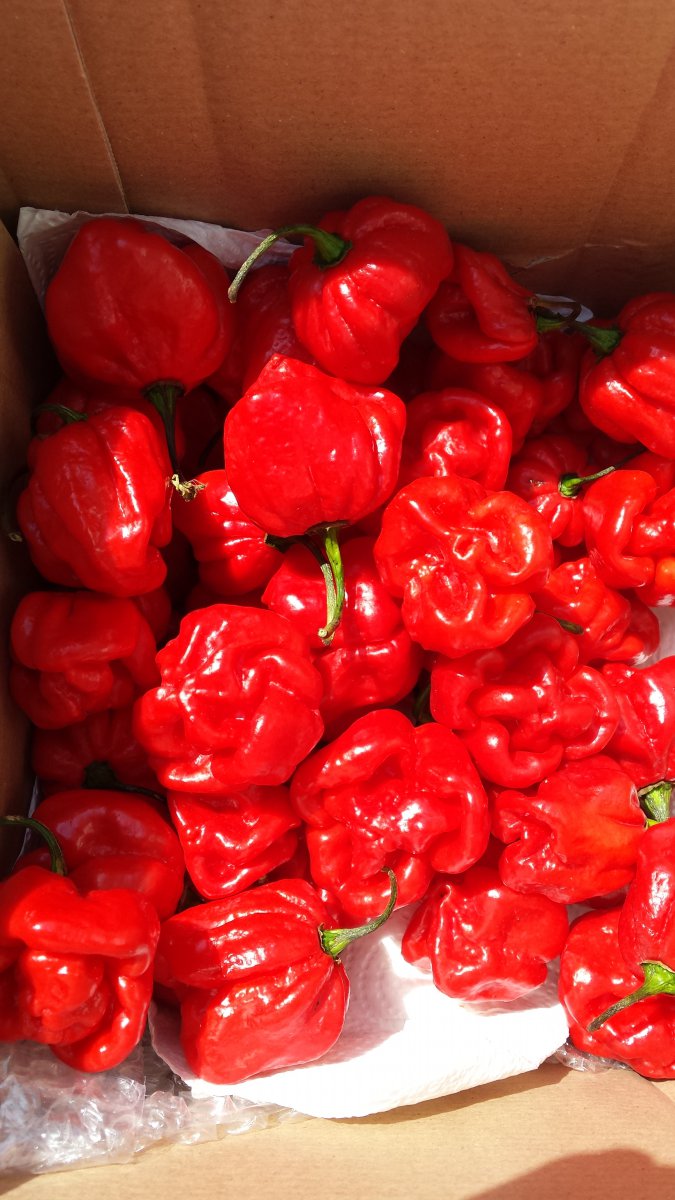20201009_115457.jpg