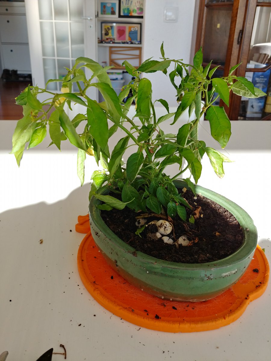 20201031_131724_HDR.jpg