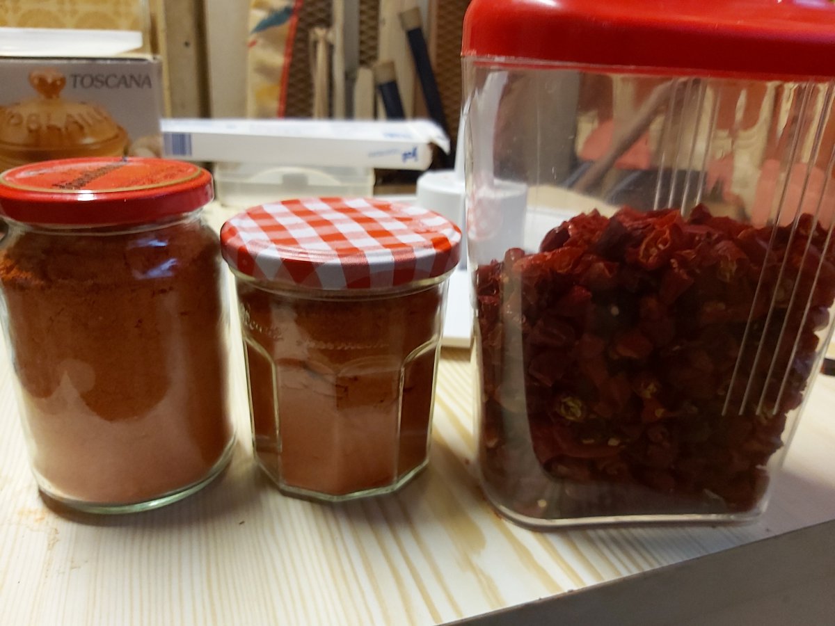 20201102_134448.jpg