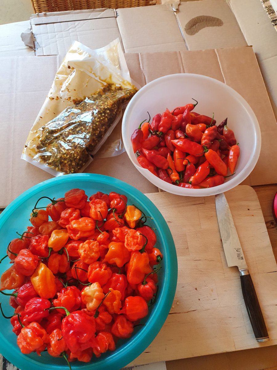 20201108_134918.jpg