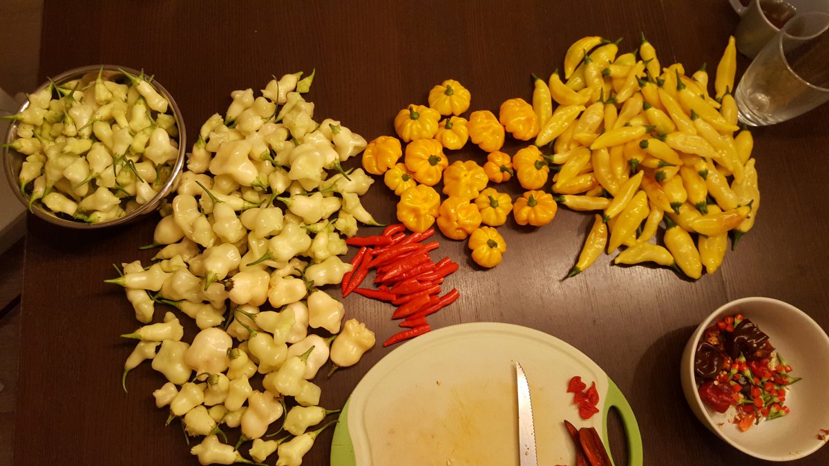 20201108_173837.jpg