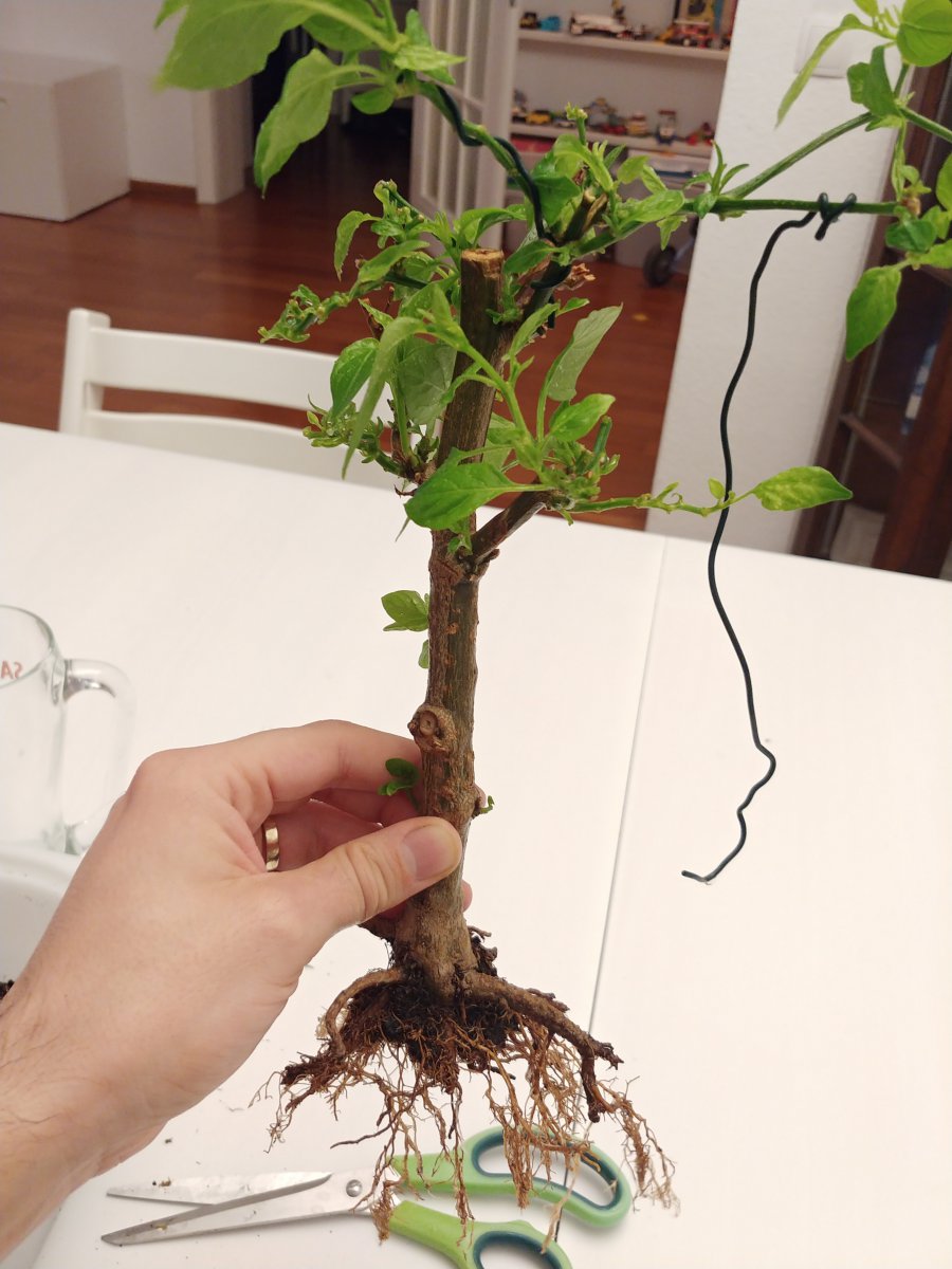 20201116_211606.jpg