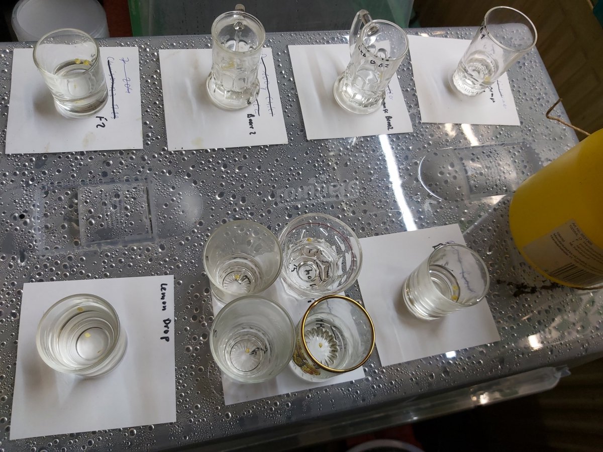 20201212_174106.jpg