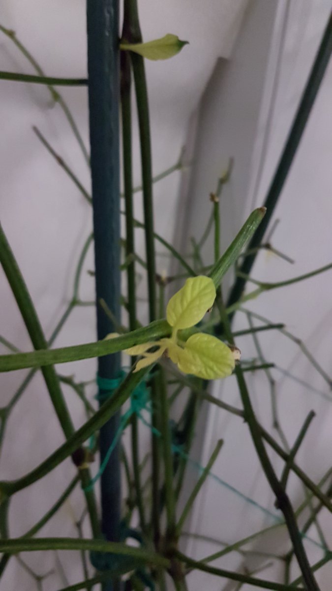 20201223_124003.jpg